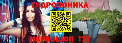 эйфоретик Будённовск
